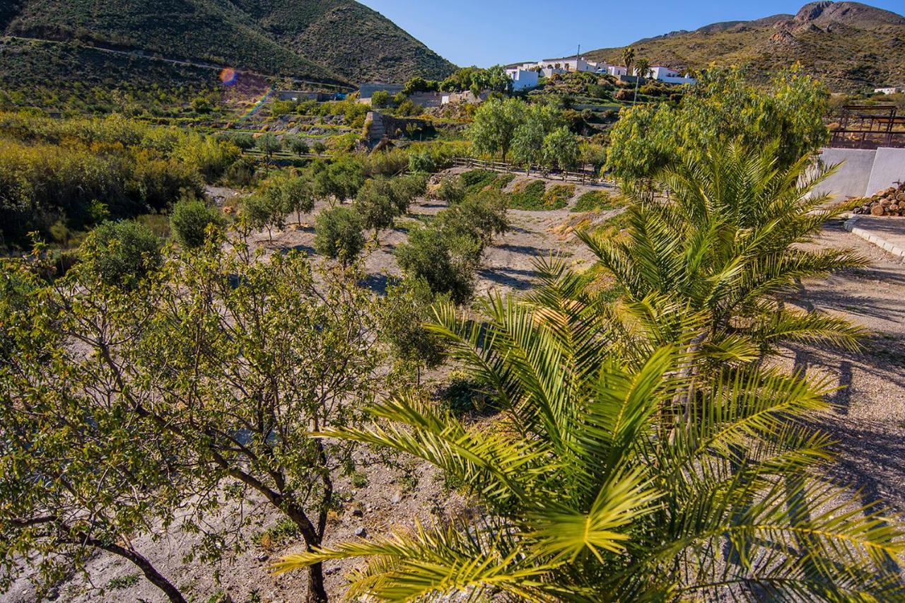 Cortijo 4 Elementos Bed and Breakfast Lucainena de las Torres Exterior foto